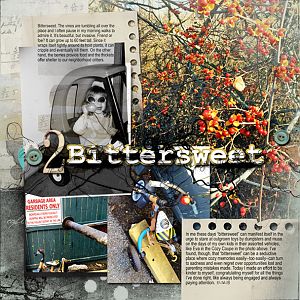 Project Book 2--Bittersweet