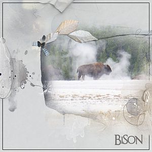 2015Spe Bison