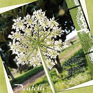 Lacework