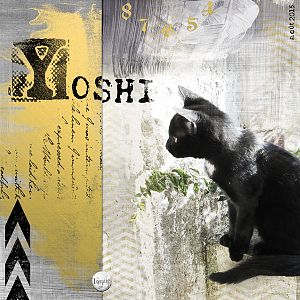 Yoshi