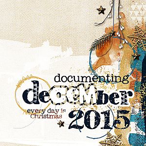 Cover, Documenting December 2015