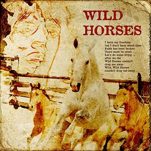 Wild Horses/challenge4