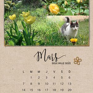 Calendar 2016 - march