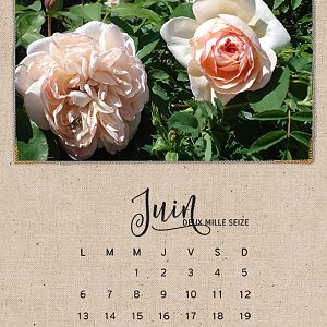 Calendar 2016 - Juin