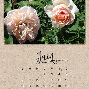 Calendar 2016 - June