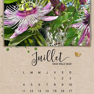 Calendar 2016 - July