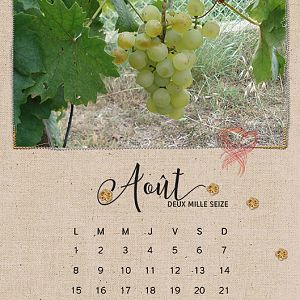 Calendar 2016 - August