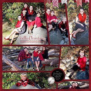2015 Christmas Photo Shoot challenge 1 copy cat