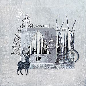 Winter Wonder land