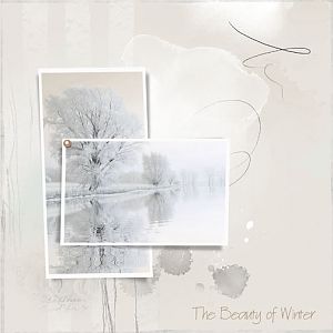 The Beauty of Winter