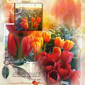 Classics Replay Tulips #2