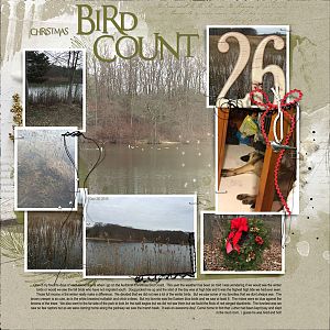 2015Dec26 bird count