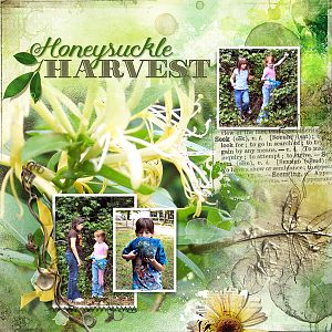 AnnaLift - Honeysuckle Harvest