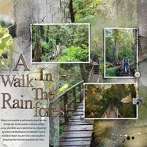 A Walk in the Rainforst
