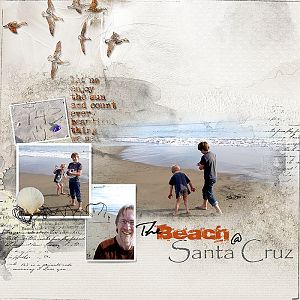 2015 Beach at Santa Cruz Anna Lift