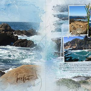 Point Lobos P2