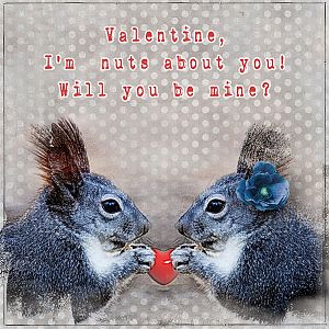 nuts About You Valentine