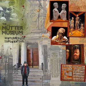 The Mutter Museum