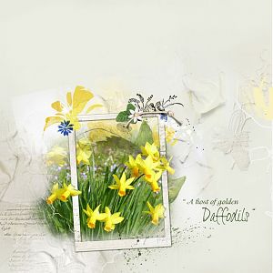 iAnnaLIFT 2/20/16 - 2/26/16 - Daffodils