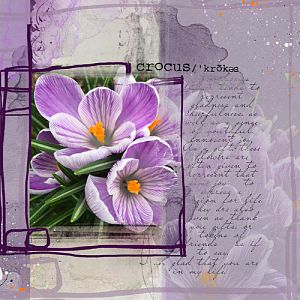Challenge 6_Miscellaneous_Crocus_Lifted Rae