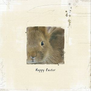 Hoppy Easter: 10 Layout Challenge