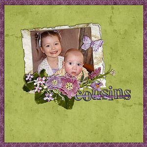 Cousins - Scraplift