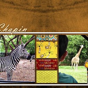Safari Chapin