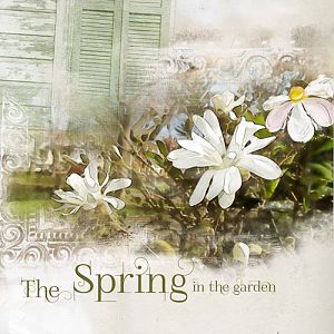 The spring in the garden