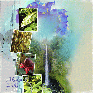 Anna Lift - Akaka Falls HI