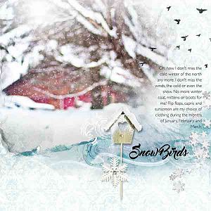 Snow Birds page 1