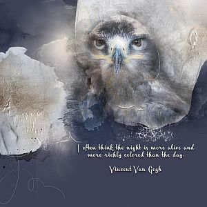 AnnaColor: Night Owl