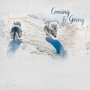 Coming & Going - AnnaLift