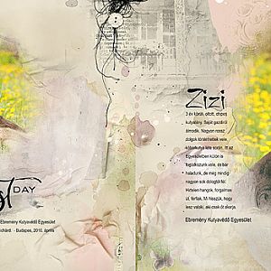 Album about Zizi