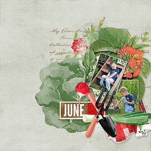 Garden Journal by Mediterranka Design