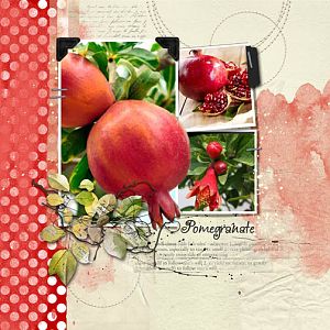 Pomegranate/Anna Lift