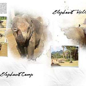 The-elephant-camp-by-mum2gnt