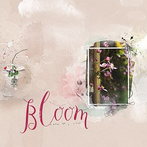 Anna Lift - Bloom