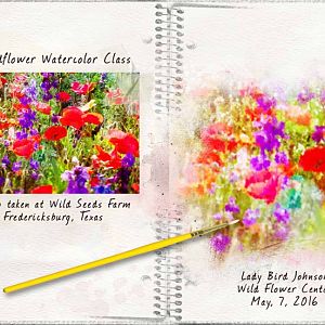 Wildflower Watercolor Class