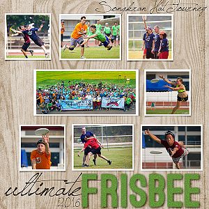 Frisbee - 2016