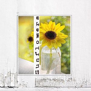Challenge 3: Sunflowers