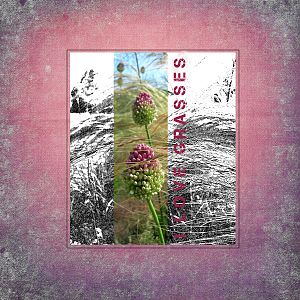 I Love Grasses - Challenge3 Copycat