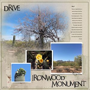 2016Apr27 Ironwood 1