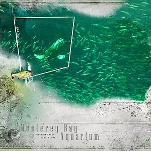 2015 Monterrey Bay Aquarium Color challenge