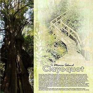 Clayoquot Sound - Template Challenge