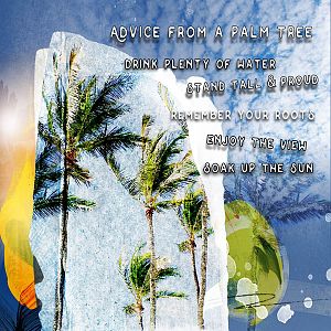 Advice from a Palm Tree