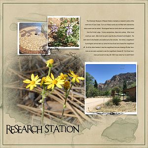 2016May6 research station