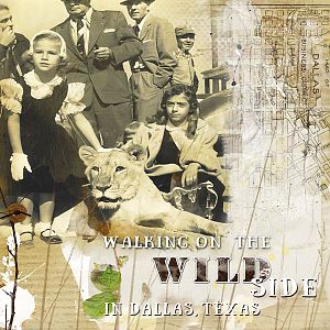 AnnaLift: Wild in Dallas