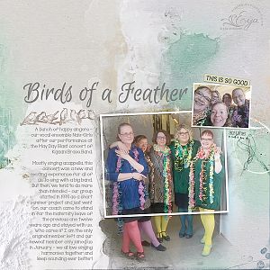 Birds of a Feather - AnnaColor