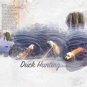 Duck Hunting - AnnaLift