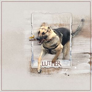 2016May Luther